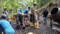 IMG-20231114-WA0060